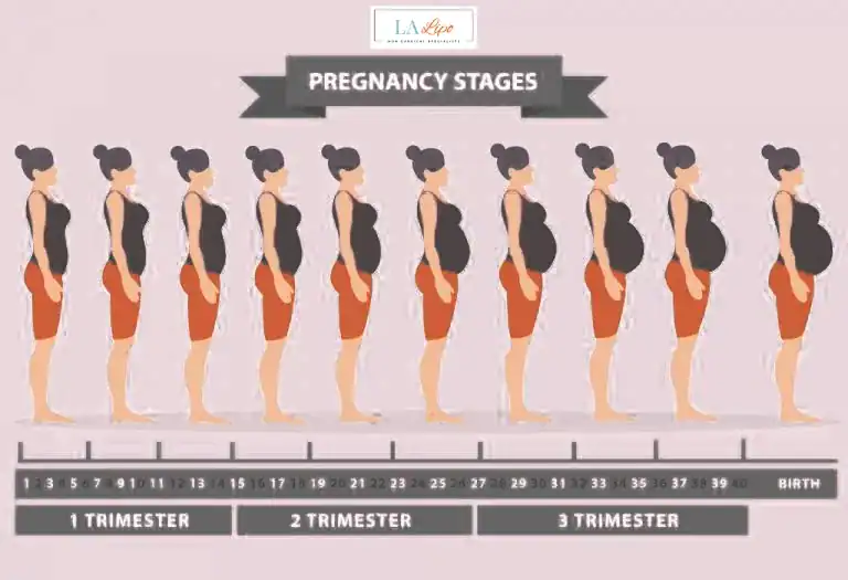 First Trimester (Weeks 1–12): Early Changes You Might Not Notice Didcot